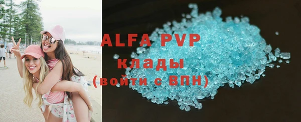 ПСИЛОЦИБИНОВЫЕ ГРИБЫ Вяземский