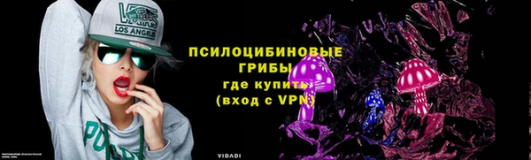 ПСИЛОЦИБИНОВЫЕ ГРИБЫ Вяземский