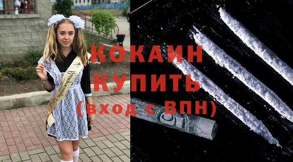 ПСИЛОЦИБИНОВЫЕ ГРИБЫ Вяземский