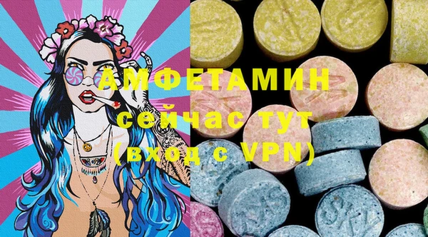 гидра Вязники