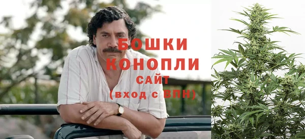 гидра Вязники