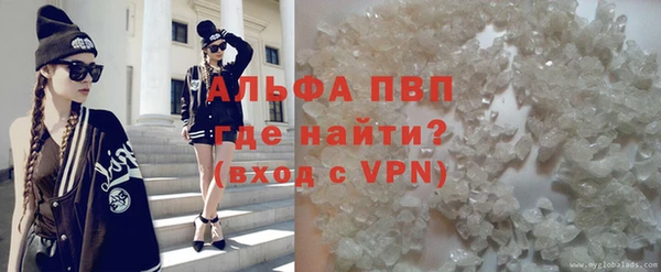 ПСИЛОЦИБИНОВЫЕ ГРИБЫ Вяземский