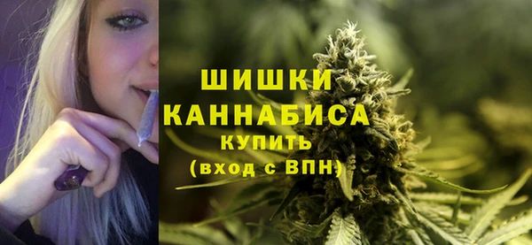 ПСИЛОЦИБИНОВЫЕ ГРИБЫ Вяземский